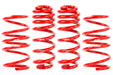 APR Roll-Control Lowering Springs for Volkswagen MK8 GTI - FAS Tuning